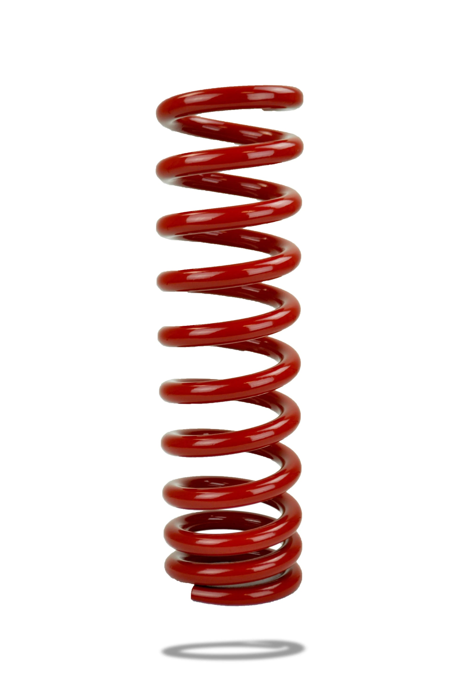 Pedders Trakryder Coil Spring - 290014
