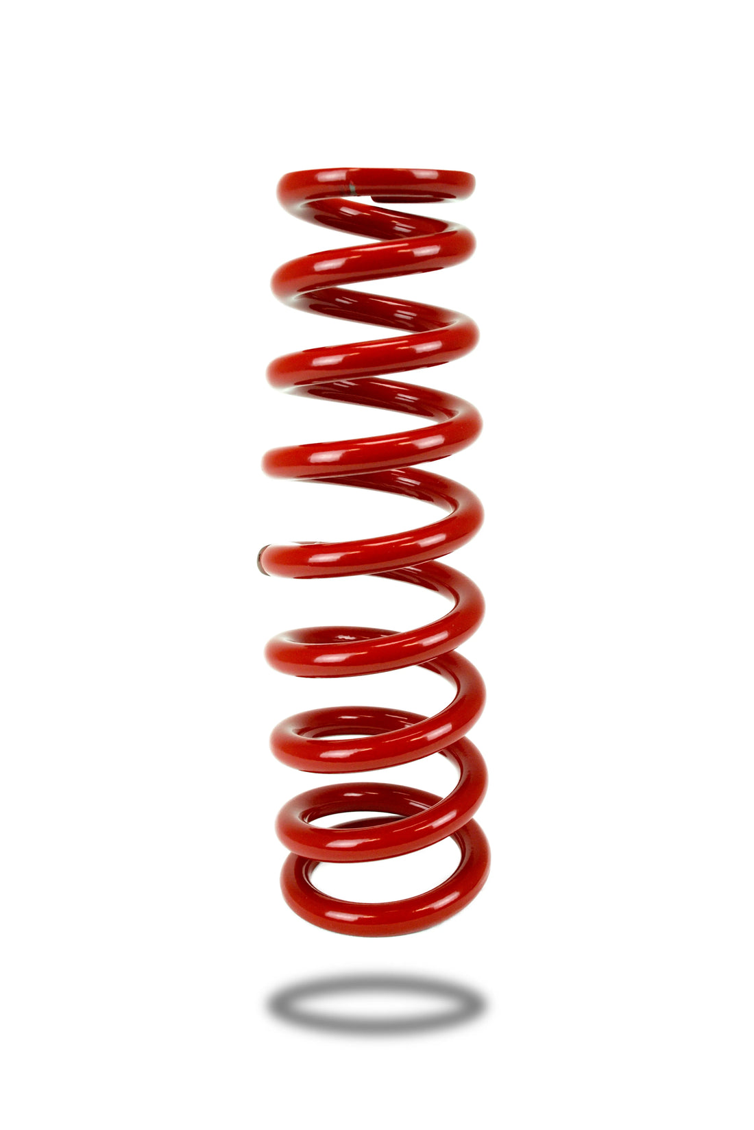 Pedders Trakryder Coil Spring - 290076