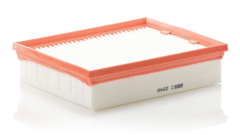 Ilmansuodatin - C 2548