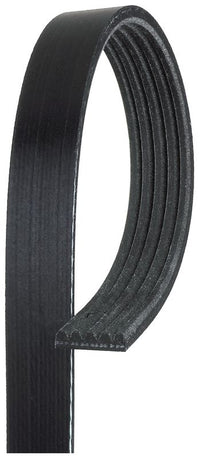 Moniurahihna - 5PK1250