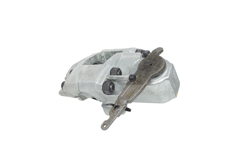 Jarrusatula - 24.4544-0021.5