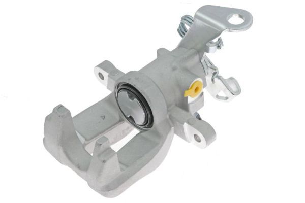 Jarrusatula - CZH1506
