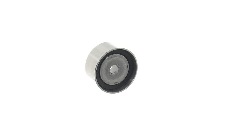 Parazīt-/Vadrullītis, Zobsiksna - VKM 84201