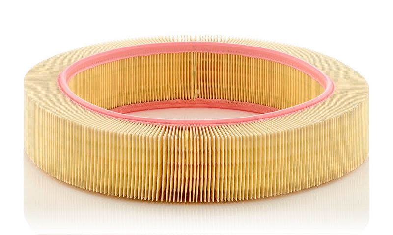 Gaisa filtrs - C 40 174