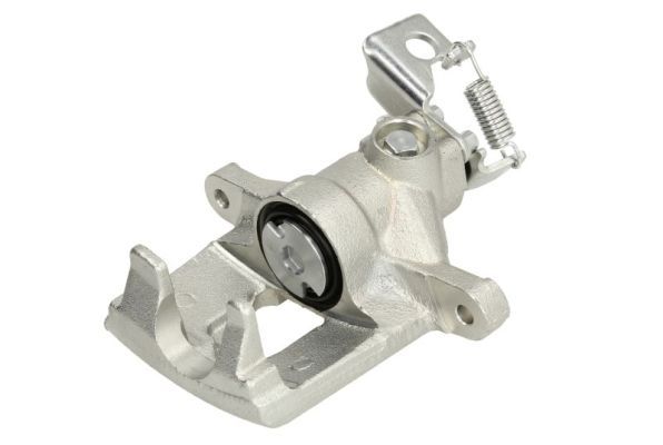 Jarrusatula - CZH1670