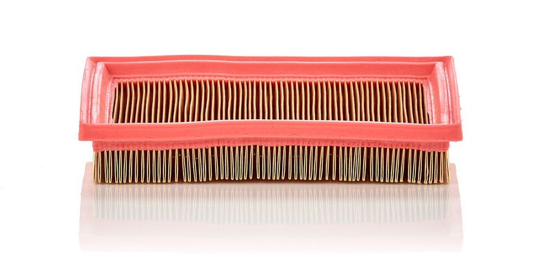 Gaisa filtrs - C 2244