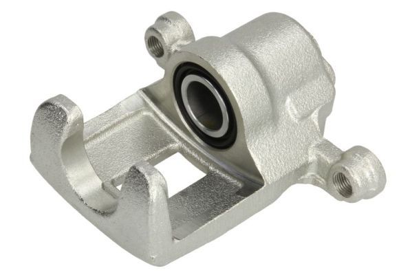 Jarrusatula - CZH1403