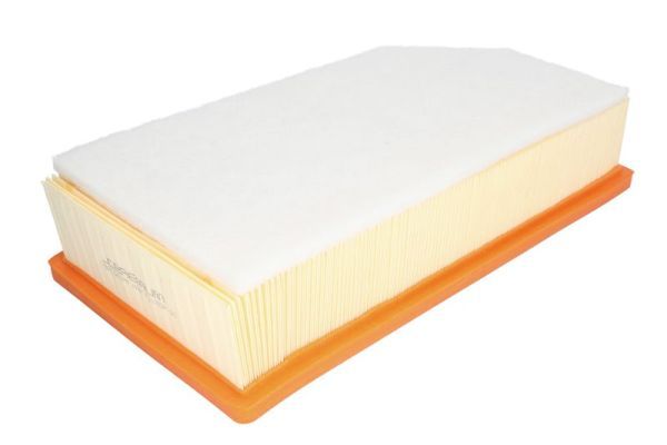 Gaisa filtrs - B2C061PR