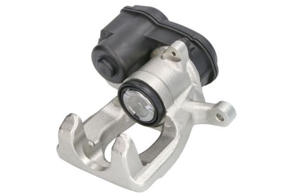 Jarrusatula - CZH2390