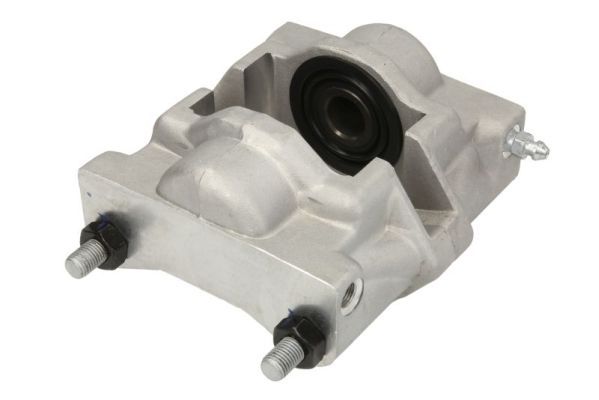 Jarrusatula - CZH1258