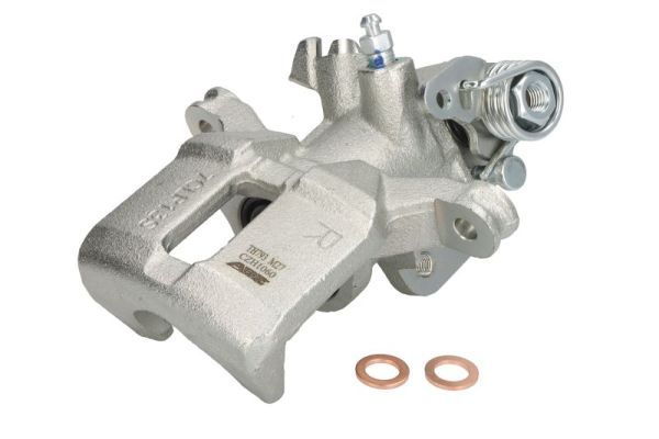 Jarrusatula - CZH1060