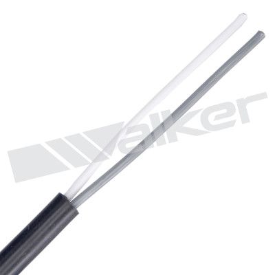 Motora dzesēsanas radiators - 10031045