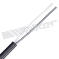 Motora dzesēsanas radiators - 10031045