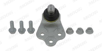 Pallonivel - CH-BJ-17537