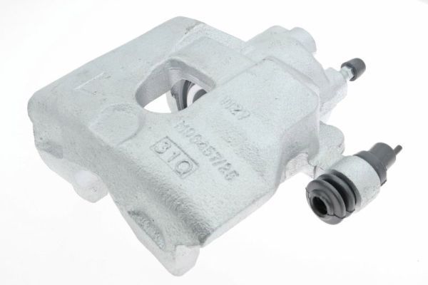 Jarrusatula - CZH1304