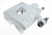 Jarrusatula - CZH1304