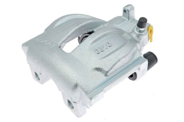 Jarrusatula - CZH1208