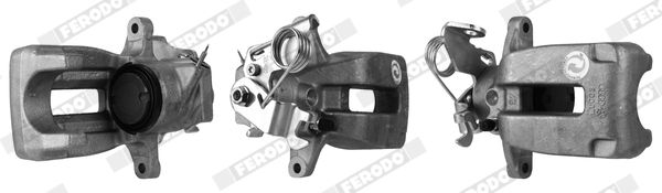 Jarrusatula - FCL695045
