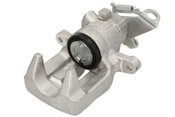 Jarrusatula - CZH1405
