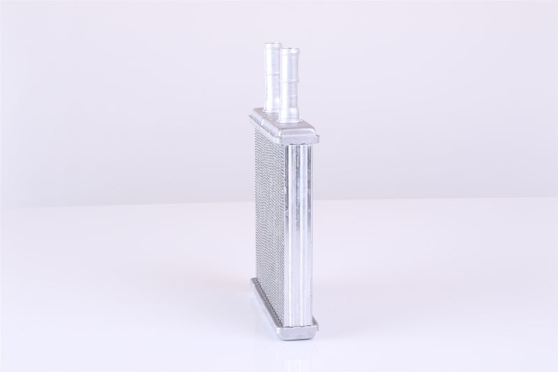 Siltummainis, Salona apsilde - 77613