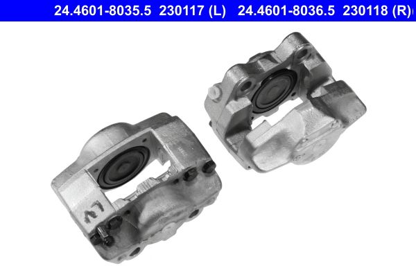 Jarrusatula - 24.4601-8035.5