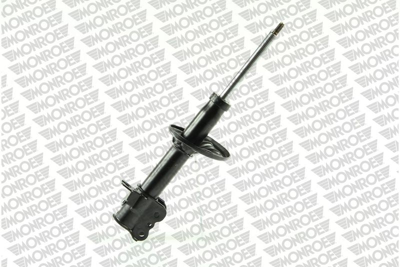 Amortizators - G16762