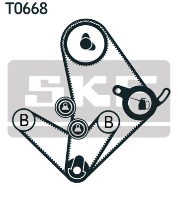 Hammashihnasarja - VKMA 95014
