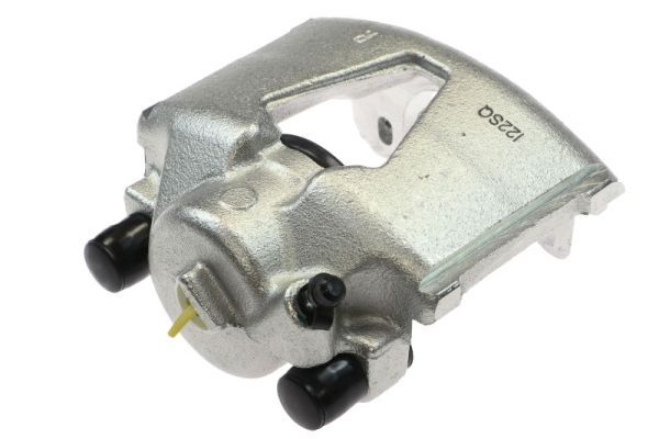 Jarrusatula - CZH1028