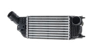 Välijäähdytin - CI 613 000P