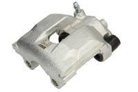 Jarrusatula - CZH1460
