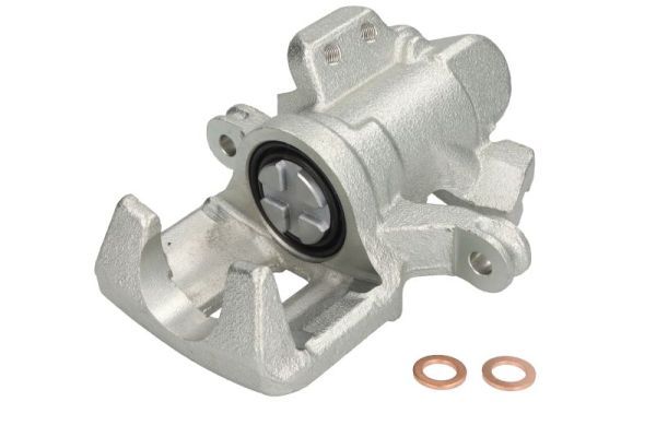 Jarrusatula - CZH1060