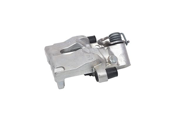 Jarrusatula - 24.3387-7027.5
