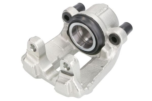 Jarrusatula - CZH2154