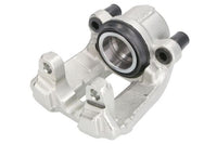 Jarrusatula - CZH2154