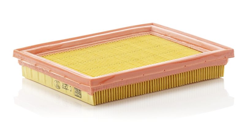 Ilmansuodatin - C 2237