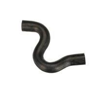 Jäähdyttimen letku - 3897