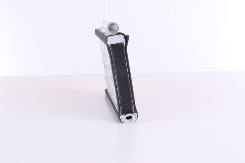 Siltummainis, Salona apsilde - 70233