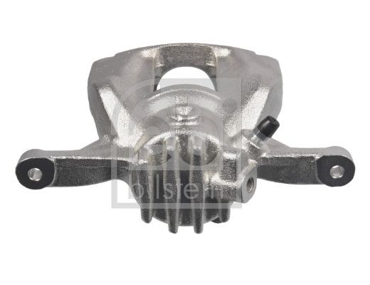 Jarrusatula - 182337