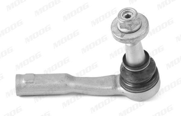 Raidetangon pää - LR-ES-17676