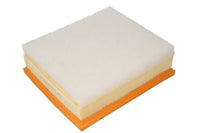 Gaisa filtrs - B2B042PR
