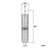 Degvielas filtrs - PP 976/2