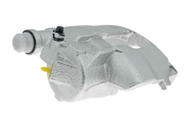 Jarrusatula - CZH1055