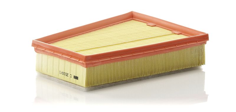 Ilmansuodatin - C 2510/1