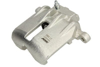Jarrusatula - CZH1058