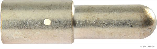 Pistoke - 51305916