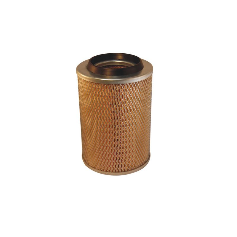 Gaisa filtrs - AM 407/1