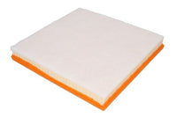 Gaisa filtrs - B20031PR