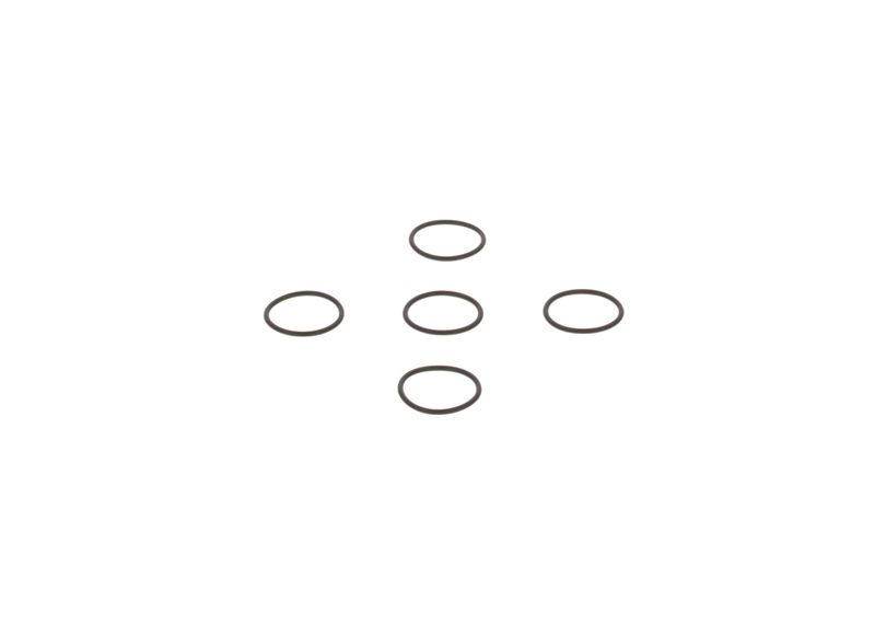 Degvielas sūkņa elements - 2.440.210.026