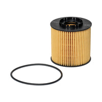 Eļļas filtrs - E64H D96