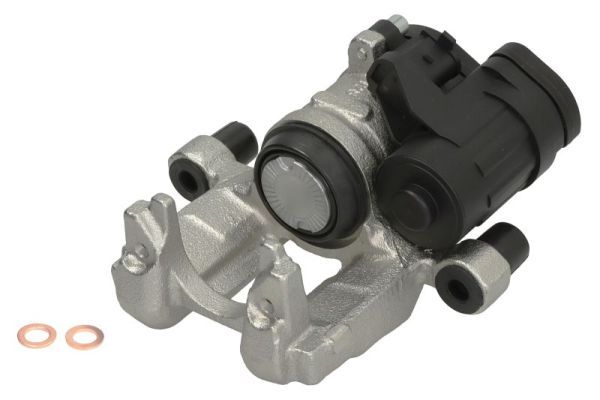 Jarrusatula - CZH2104